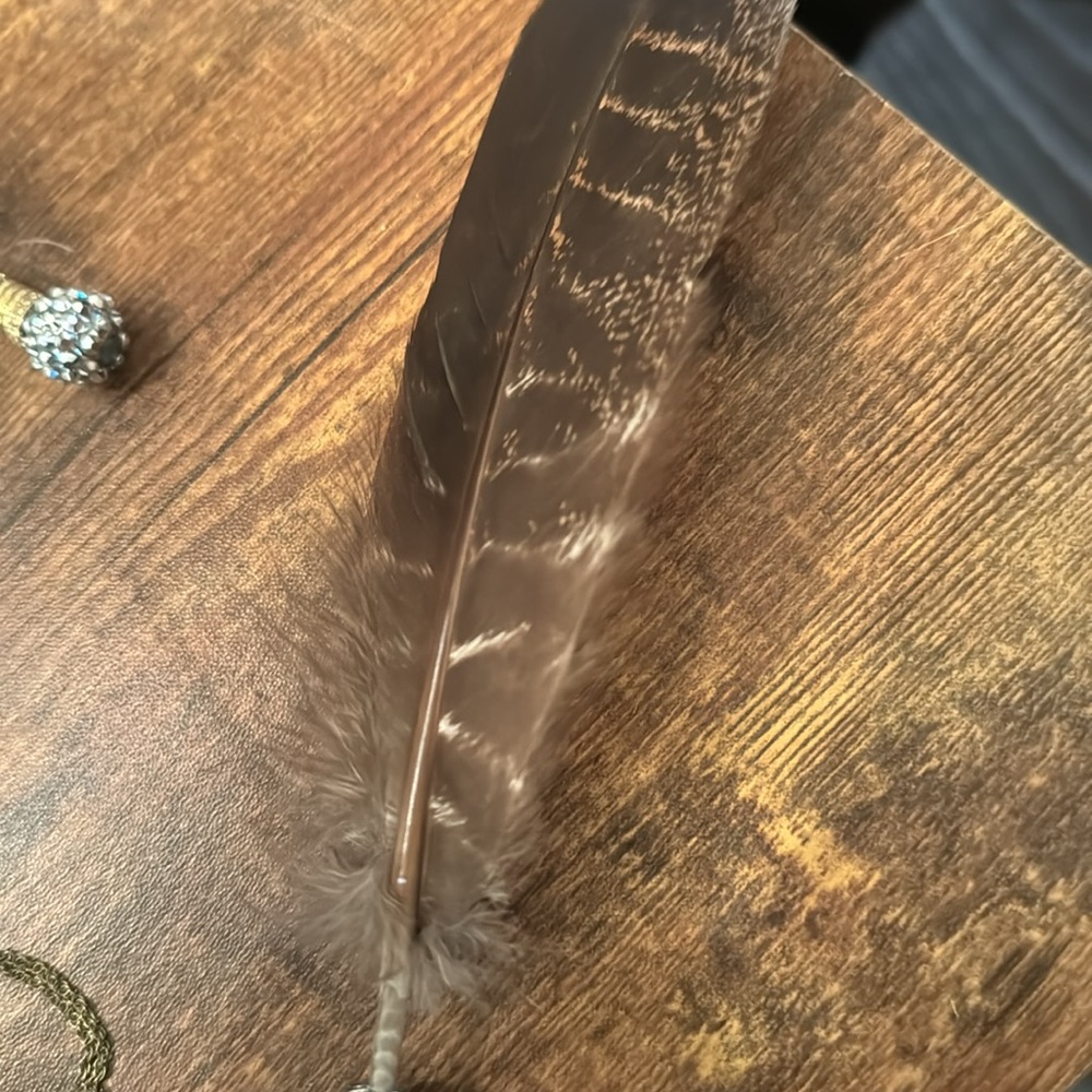 Beautiful hat feathers, decorative feathers, gifts, feathers, rhinestones - Picture 4 of 16